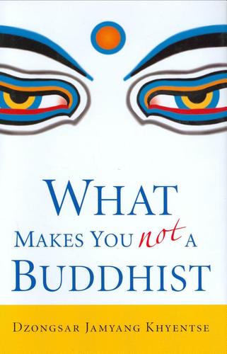 Dzongsar Jamyang Khyentse: What makes you not a Buddhist (Paperback, Shambhala)