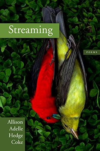 Streaming (Paperback, Coffee House Press)